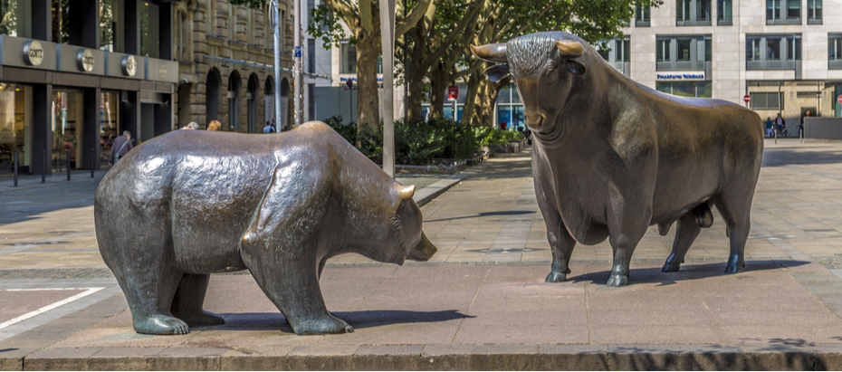 Bear vs bull market