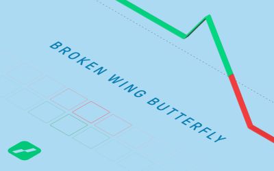 Brokin wing butterfly: een butterfly combinatie met een kleinere inleg