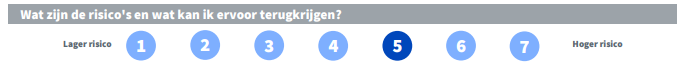 Risico's | Beleggen in cybersecurityaandelen